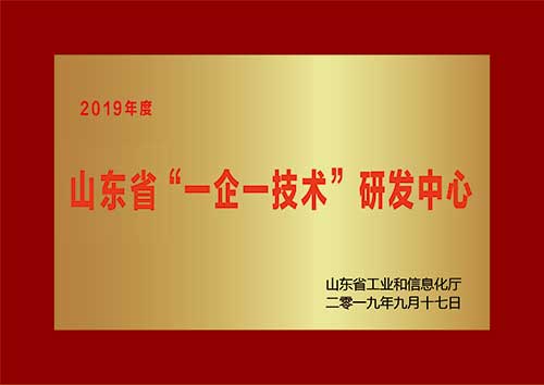 2019山东省一企一技术