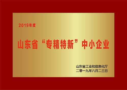 2019山东省专精特新