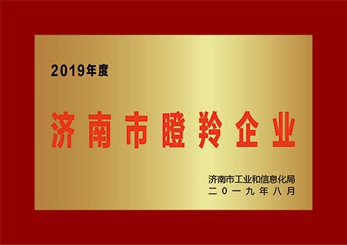 2019济南市瞪羚企业